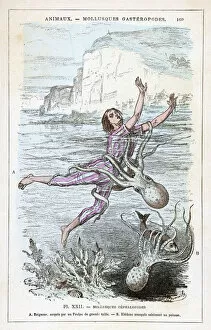 Attacks Collection: Octopus Attacks Bather