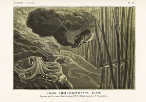 Edited Prints: Octopus, squid and cuttlefish squirting ink