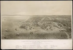 Odessa Birds Eye