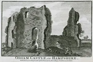 Sparrow Prints: Odiham Castle