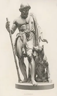 Staff Collection: Odysseus & Argos / Brown