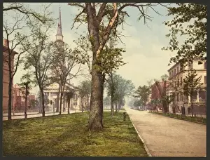 Savannah Prints: Oglethorpe Avenue, Savannah