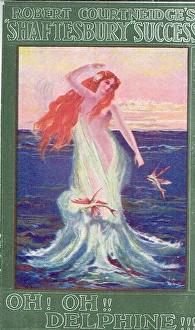 Oceans Gallery: Oh! Oh! Delphine by C Ms McLellan