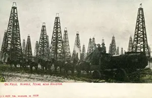 Texan Prints: Oil Field, Humble, Texas nr Houston USA - Mule-pulled tanker