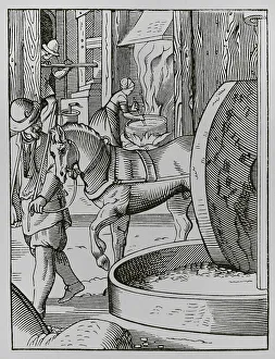Extracting Prints: The oil maker, 16th century. Engraving
