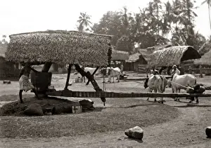 Coconut Prints: Oil mill for making coconut oil, Ceylon, Sri Lanka, circa 18