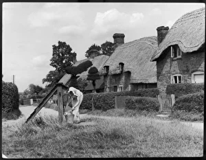 Fills Gallery: Old Basing Cottages