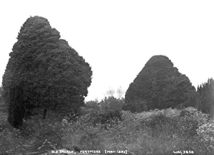 Old Church, Portmore (May 1893)