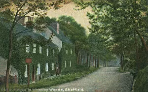 Sheffield Gallery: Old Cottages in Whiteley Woods, Sheffield
