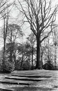 Smaller Prints: The Old Dueling Ground, Kenwood