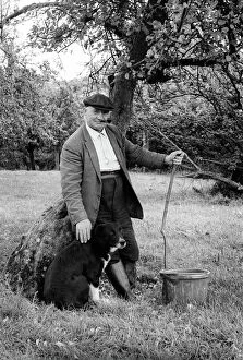 Stick Collection: Old farmer with dog in orchard