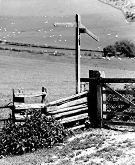 Signpost Prints: Old fence and signpost at Bix near Henley-on-Thames, Oxon