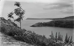 Wildflowers Prints: Old Fort at Fishguard