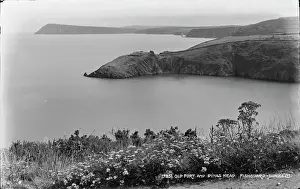 Wildflowers Prints: Old Fort and Pinas Head