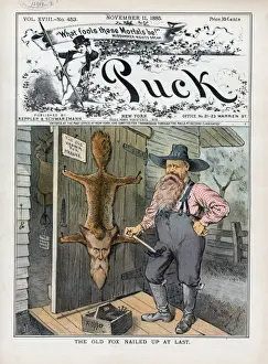 Nailed Prints: The old fox nailed up at last