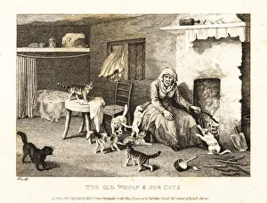 Gay And Phaedrus Prints: Old hag seated at the hearth in a hovel surrounded by cats