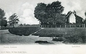Putney Prints: Old houses on Putney Common, London