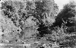 Old Ivy Bridge