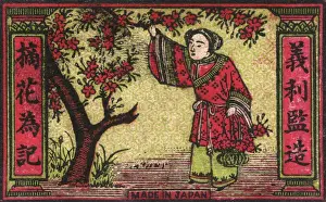 Old Japanese Matchbox label with cherry blossom