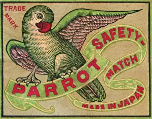 Images Dated 25th April 2016: Old Japanese Matchbox label for Parrot Safety Matches
