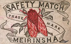 Fashioned Prints: Old Japanese Matchbox label with a red fly