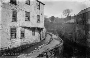 Lyme Prints: Old Lyme Regis