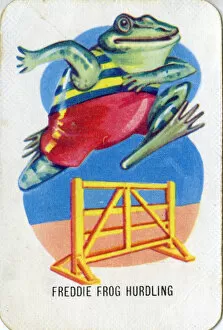 Images Dated 12th December 2016: Old Maid card game - Freddie Frog Hurdling