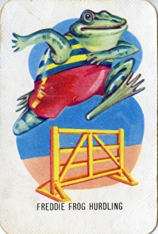 Frogs Collection: Old Maid card game - Freddie Frog Hurdling