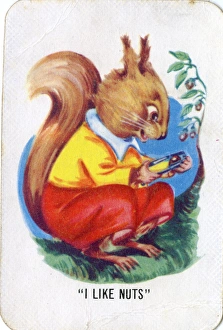 Nuts Gallery: Old Maid card game - I Like Nuts