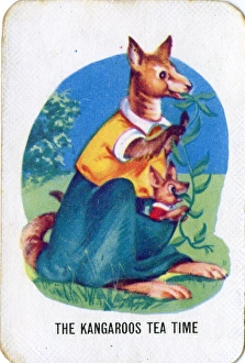 Pouch Collection: Old Maid card game - The Kangaroos Tea Time