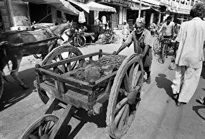 Images Dated 26th March 2019: Old man with cart, Kashmir