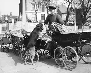 Pram Prints: Old man with dog and pram, Balham, SW London