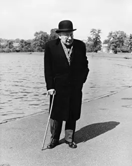 An Old Man in the Park