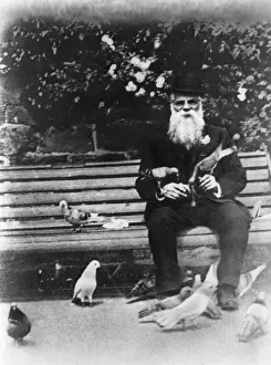 Feeds Prints: Old Man with Pigeons