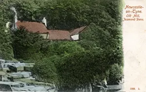 Old Mill, Jesmond Dene, County Durham