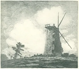 Brow Prints: The Old Mill, Mt. St. Gilead, N. S. W