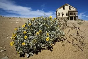 Old Mining Town near Luderitz called Ghost Town