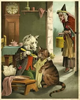 Images Dated 14th November 2011: Old Mother Hubbard: dog feeding the cat