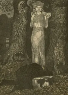 Sees Prints: In the Old Park