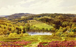 The Old Mill Pond, Crowborough, East Sussex