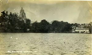 Shirley Prints: Old Pond, Shirley, Hampshire