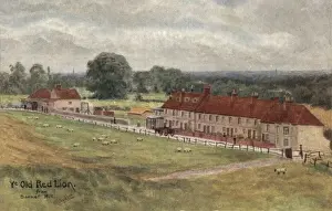 Holborn Prints: Old Red Lion Inn and former infant workhouse, Barnet