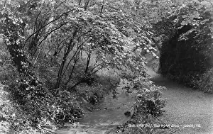 Roar Prints: Old Roar Gill