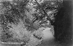 Roar Prints: Old Roar Gill