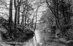 Roar Prints: Old Roar Gill