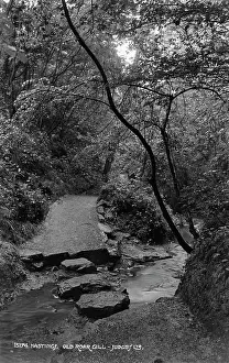 Roar Prints: Old Roar Gill Pathway