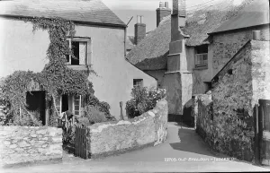 Old Shaldon - Judges Tip