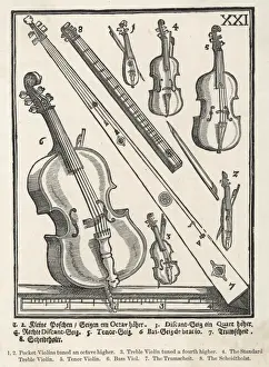 Violins Prints: Old String Instruments