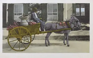 Turnips Prints: Old Vegetable seller driving his donkey cart