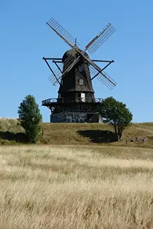Corn Prints: Old windmill at Molle, Skane, Sweden